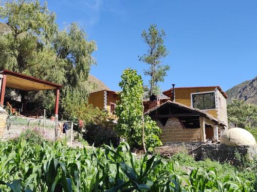 숙소 외관, POSADITA LOS ALAMOS estamos en San Isidro 8km pasando Iruya solo se hace a pie TURISMO AVENTURA. in 아이루니아 숙소 외관, POSADITA LOS ALAMOS estamos en San Isidro 8km pasando Iruya solo se hace a pie TURISMO AVENTURA. in 아이루니아