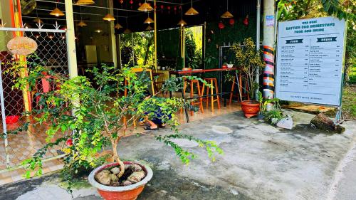 Bar/lounge, Cat Tien Backpackers Hostel in Nam Cat Tien Bar/lounge, Cat Tien Backpackers Hostel in Nam Cat Tien