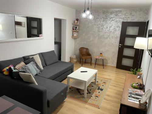 Apartament Cina in Husi Apartament Cina in Husi