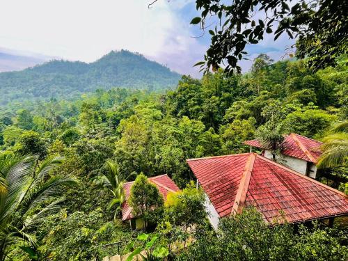 White Villa Kitulgala in 키툴가라 White Villa Kitulgala in 키툴가라