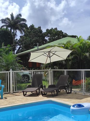 Le Tri Haut de Bellevue - Bungalow Héliconia (Le Tri Haut de Bellevue - Bungalow Heliconia) in Pointe-Noire Le Tri Haut de Bellevue - Bungalow Héliconia (Le Tri Haut de Bellevue - Bungalow Heliconia) in Pointe-Noire