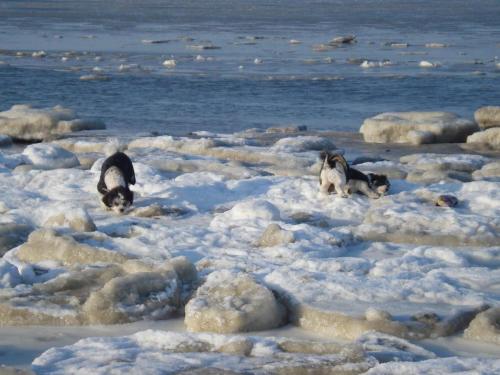 Sternschnuppe in Sankt Peter-Ording Sternschnuppe in Sankt Peter-Ording