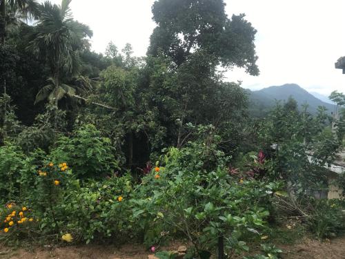 Silvawood Banglow in Wattegama Silvawood Banglow in Wattegama