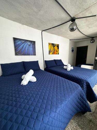 CASA MAGNOLIA near Centro Comercial Tikal Futura CASA MAGNOLIA near Centro Comercial Tikal Futura