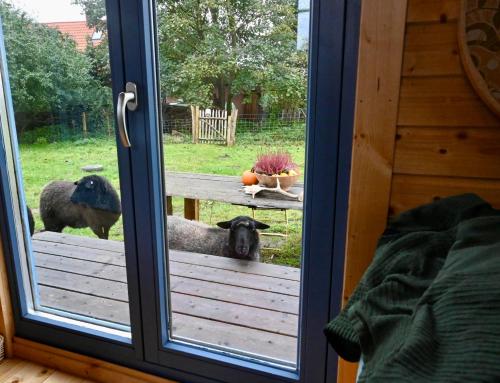 Kert, Autarker Schäferwagen mit Kamin ganzjährig nutzbar (Autarker Schaferwagen mit Kamin ganzjahrig nutzbar) in Dargun Kert, Autarker Schäferwagen mit Kamin ganzjährig nutzbar (Autarker Schaferwagen mit Kamin ganzjahrig nutzbar) in Dargun