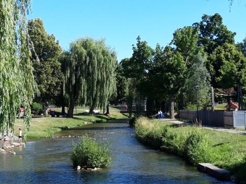 Навколишнє середовище, Tinyhaus im Altmühltal (Tinyhaus im Altmuhltal) in Beilngries Навколишнє середовище, Tinyhaus im Altmühltal (Tinyhaus im Altmuhltal) in Beilngries
