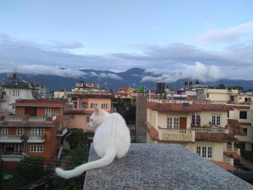 View, Family Home with Rooftop access and Mountain View in Maharajgunj View, Family Home with Rooftop access and Mountain View in Maharajgunj