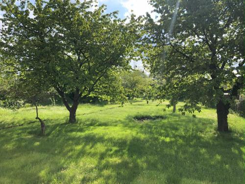 Kert, Hof Märkische Heide (Hof Markische Heide) in Brandenburg an der Havel Kert, Hof Märkische Heide (Hof Markische Heide) in Brandenburg an der Havel