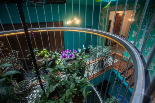 شرفة/ تراس, Dendrobium House in هونتانا شرفة/ تراس, Dendrobium House in هونتانا