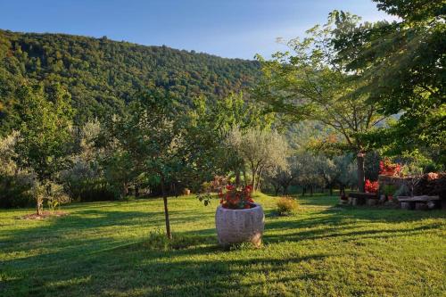 A környék, House in Istria in pristine nature in Pomjan A környék, House in Istria in pristine nature in Pomjan