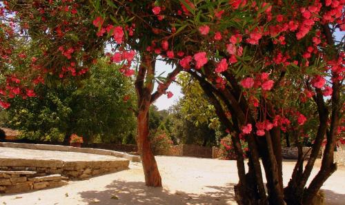 This photo about Otium Country House shared on HyHotel.com