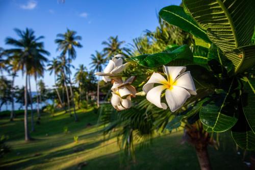 Garden, Ban Raya Resort and Spa in Racha Island Garden, Ban Raya Resort and Spa in Racha Island