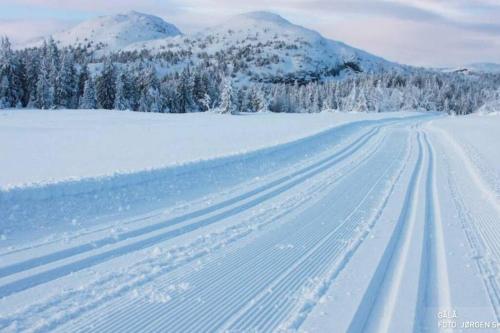 Eventyrlig Tømmerhytte på Gårdstun (Eventyrlig Tømmerhytte pa Gardstun) in Vinstra Eventyrlig Tømmerhytte på Gårdstun (Eventyrlig Tømmerhytte pa Gardstun) in Vinstra