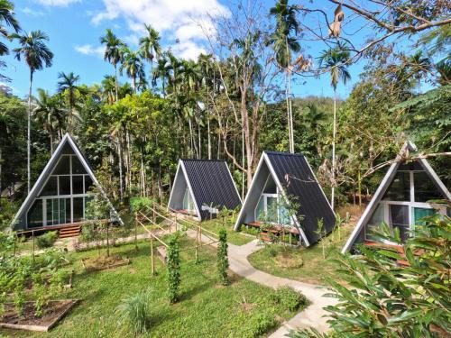 Ample Forest Khao Sok Farmstay in Phanom Ample Forest Khao Sok Farmstay in Phanom