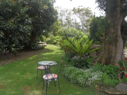 Moonya Avocado Farm Cottage - with early check-in in planinaTamborine Moonya Avocado Farm Cottage - with early check-in in planinaTamborine