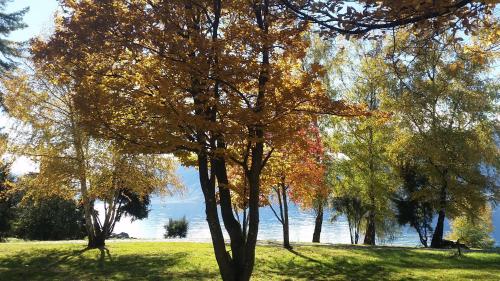 ranta, The Camp - Lake Hawea in Wanaka ranta, The Camp - Lake Hawea in Wanaka