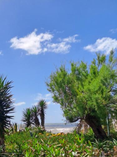 Κήπος, Tu mar y tu cielo in Άγκουας Ντούλτσες Κήπος, Tu mar y tu cielo in Άγκουας Ντούλτσες