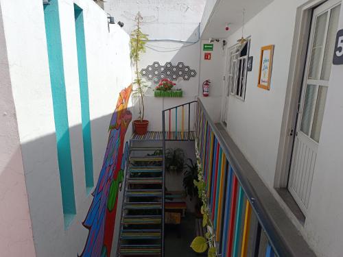 Monkey Safari Hostel in Queretaro Monkey Safari Hostel in Queretaro