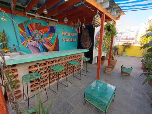Monkey Safari Hostel in Queretaro Monkey Safari Hostel in Queretaro