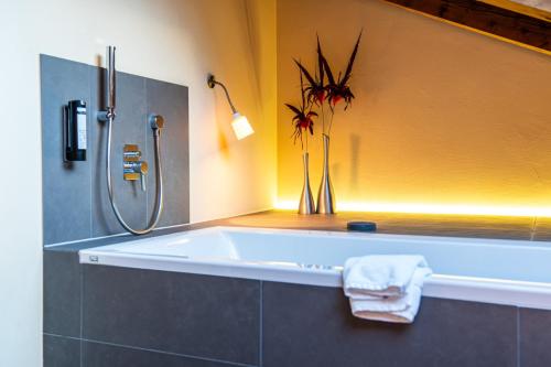 Баня, Hotel Allalin Saas-Fee in Саас Фее Баня, Hotel Allalin Saas-Fee in Саас Фее