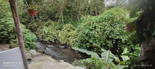 Mindoxtrem Birds in Mindo Mindoxtrem Birds in Mindo