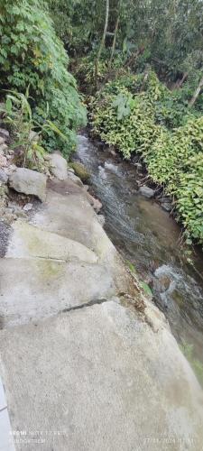 Mindoxtrem Birds in Mindo Mindoxtrem Birds in Mindo