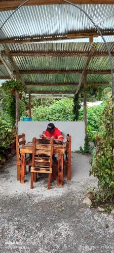 Mindoxtrem Birds in Mindo Mindoxtrem Birds in Mindo