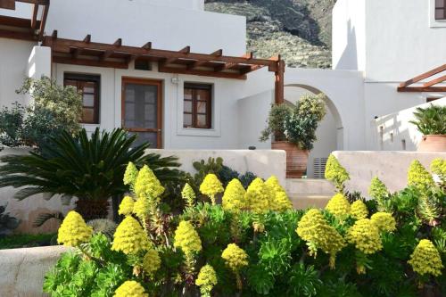 حديقة, Absolute peace north villa by the volcanic slopes in Panagia Kalou حديقة, Absolute peace north villa by the volcanic slopes in Panagia Kalou