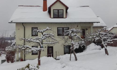 Thüringer Zimmer (Thuringer Zimmer) in Albrechts Thüringer Zimmer (Thuringer Zimmer) in Albrechts