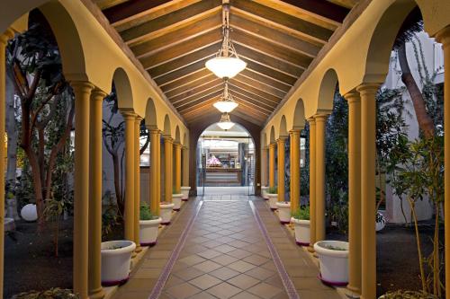 花園, 厄爾巴露西亞運動套房酒店 (Elba Lucia Sport & Suite Hotel) in 科斯塔德安提瓜 / 軸 花園, 厄爾巴露西亞運動套房酒店 (Elba Lucia Sport & Suite Hotel) in 科斯塔德安提瓜 / 軸