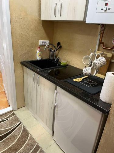 Apartmani Vrabac 4 in ดิฟชิบาเร่ Apartmani Vrabac 4 in ดิฟชิบาเร่