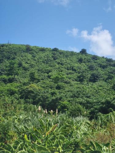 สภาพแวดล้อมโดยรอบ, Posada Nativa Doña Mayra (Posada Nativa Dona Mayra) in โปรวิเดงเซีย สภาพแวดล้อมโดยรอบ, Posada Nativa Doña Mayra (Posada Nativa Dona Mayra) in โปรวิเดงเซีย