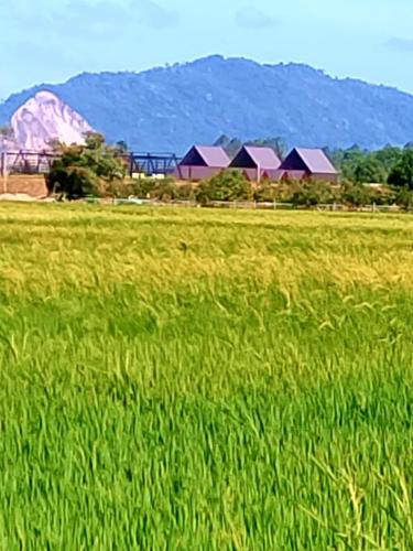 Roemah Kabin PakNgah at Inapan Keluarga Jitu in จิตรา Roemah Kabin PakNgah at Inapan Keluarga Jitu in จิตรา