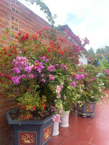 Vista exterior, Lavender Garden Phu Quoc near Ong Lang Beach Vista exterior, Lavender Garden Phu Quoc near Ong Lang Beach