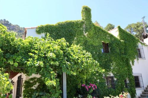 Casas Rurales Cortijo El Marqués (Casas Rurales Cortijo El Marques) in 克薩達 Casas Rurales Cortijo El Marqués (Casas Rurales Cortijo El Marques) in 克薩達