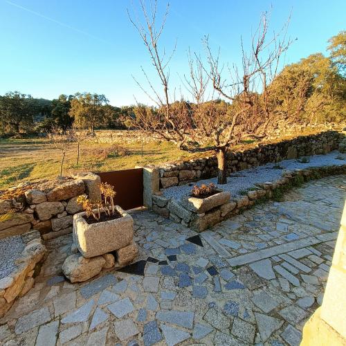 حديقة, Quinta das Amendoeiras in Meda حديقة, Quinta das Amendoeiras in Meda