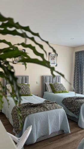 A Fonte in เซตารียา A Fonte in เซตารียา