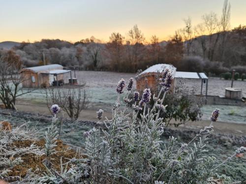 A környék, Les Milles Bottes et ses Roulottes in Sauveterre-De-Comminges A környék, Les Milles Bottes et ses Roulottes in Sauveterre-De-Comminges