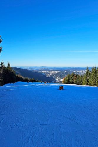 Sports and activities, ENJOYHARRACHOV - Atraktivni klidny klimatizovany apartman 20 v centru Harrachova s parkovanim, Wifi- in Harrachov Sports and activities, ENJOYHARRACHOV - Atraktivni klidny klimatizovany apartman 20 v centru Harrachova s parkovanim, Wifi- in Harrachov