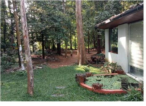 ทัศนียภาพ, PETERCOTTAGE HOMESTAY in โกทานัด ทัศนียภาพ, PETERCOTTAGE HOMESTAY in โกทานัด