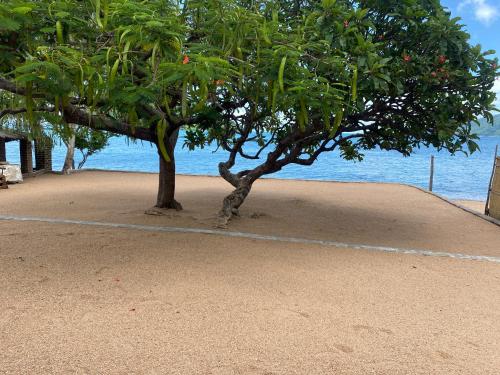 Capricorn Beachfront Cottage in Cape Maclear Capricorn Beachfront Cottage in Cape Maclear