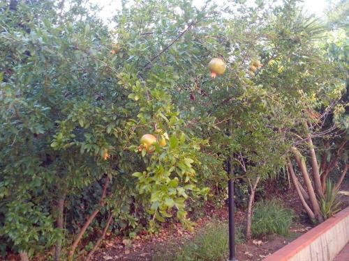 This photo about B&B Pian del Lago shared on HyHotel.com