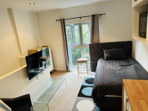 Furnished, modern studio