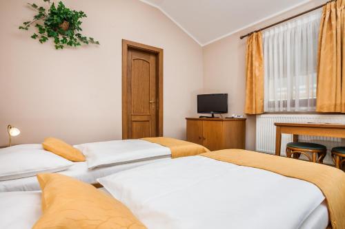 Hotel Jelinkova vila in Velke Mezirici Hotel Jelinkova vila in Velke Mezirici