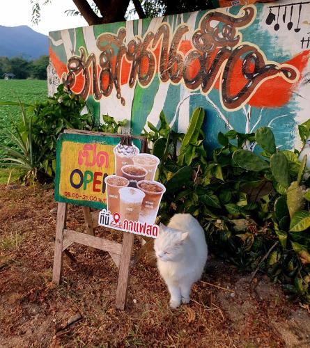 ฮามีนาเม็ง in Phrao ฮามีนาเม็ง in Phrao
