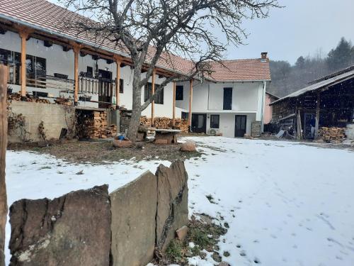 Kladenče (Kladence) in Pirot Kladenče (Kladence) in Pirot