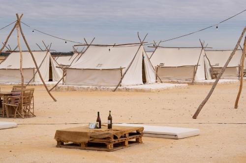 Surrounding environment, Tzila Camp in Faiyum Surrounding environment, Tzila Camp in Faiyum