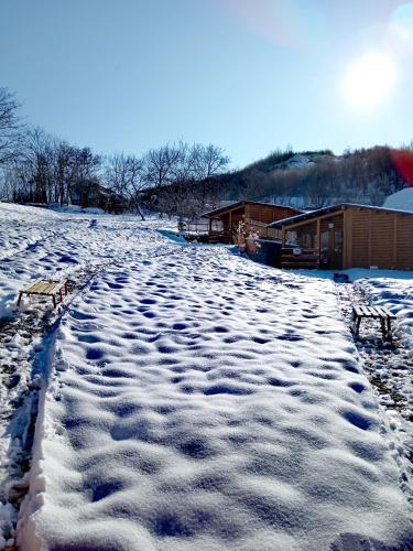 Brvnare Duguljac Fruška Gora (Brvnare Duguljac Fruska Gora) in Petrovaradin Brvnare Duguljac Fruška Gora (Brvnare Duguljac Fruska Gora) in Petrovaradin