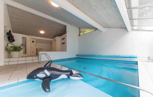 Swimming pool, Holiday Home Fjælstaunijn Nexø Denm in Snogebaek Swimming pool, Holiday Home Fjælstaunijn Nexø Denm in Snogebaek