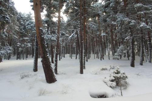 Apartamento Gandía, Orihuela del Tremedal. (Apartamento Gandia, Orihuela del Tremedal.) in Orihuela Del Tremedal Apartamento Gandía, Orihuela del Tremedal. (Apartamento Gandia, Orihuela del Tremedal.) in Orihuela Del Tremedal